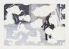 Tom Humphreys. Untitled, 2016. Inkjet, latex on linen. 197 x 291 cm