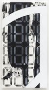 Sean Paul. 88.8888, 88.8888 ND2, 2018. Acrylic on cotton and polyester-polyamide. 115,3 x 61 x 3 cm