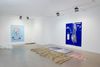 Installation view. Tripping/ or/ Trickling blooming/ or/ Stumbling flowing/ or/ I carried away (lightly orange coloured)/ I seized (colour change)/ I ran (beside the real image)/ I rested (blue ravine blue forrest through blue I see), 2015. Christian Andersen, Copenhagen