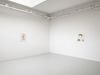 Installation view. Basic Pictures, 2023