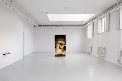 Installation view. Lily, 2025. Sidsel Meineche Hansen. Christian Andersen